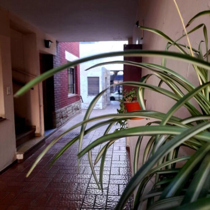 ¨Las Mayolicas¨ Hermoso Depto Con Patio Espanol Mendoza Exteriér fotografie