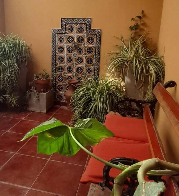 ¨Las Mayolicas¨ Hermoso Depto Con Patio Espanol Mendoza Exteriér fotografie
